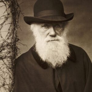 Mathematical Challenges to Darwin’s Theory of Evolution