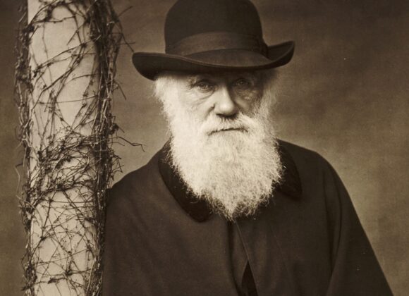 Mathematical Challenges to Darwin’s Theory of Evolution