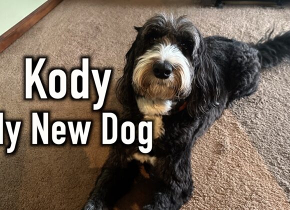 Meet Kody! My New Dog