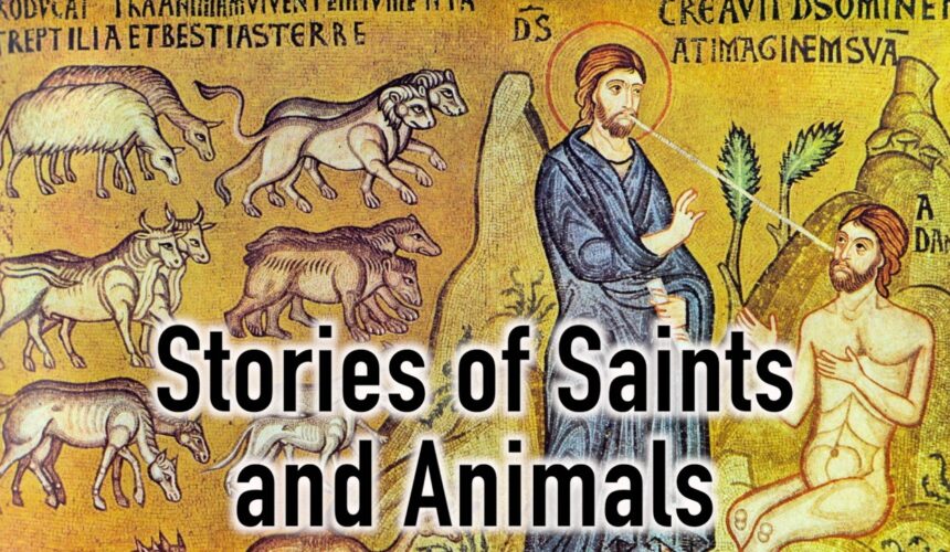 Orthodox Saints and Their Relationship to Animals