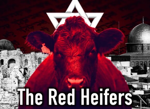 Red Heifers In Israel: Everything You Need to Know